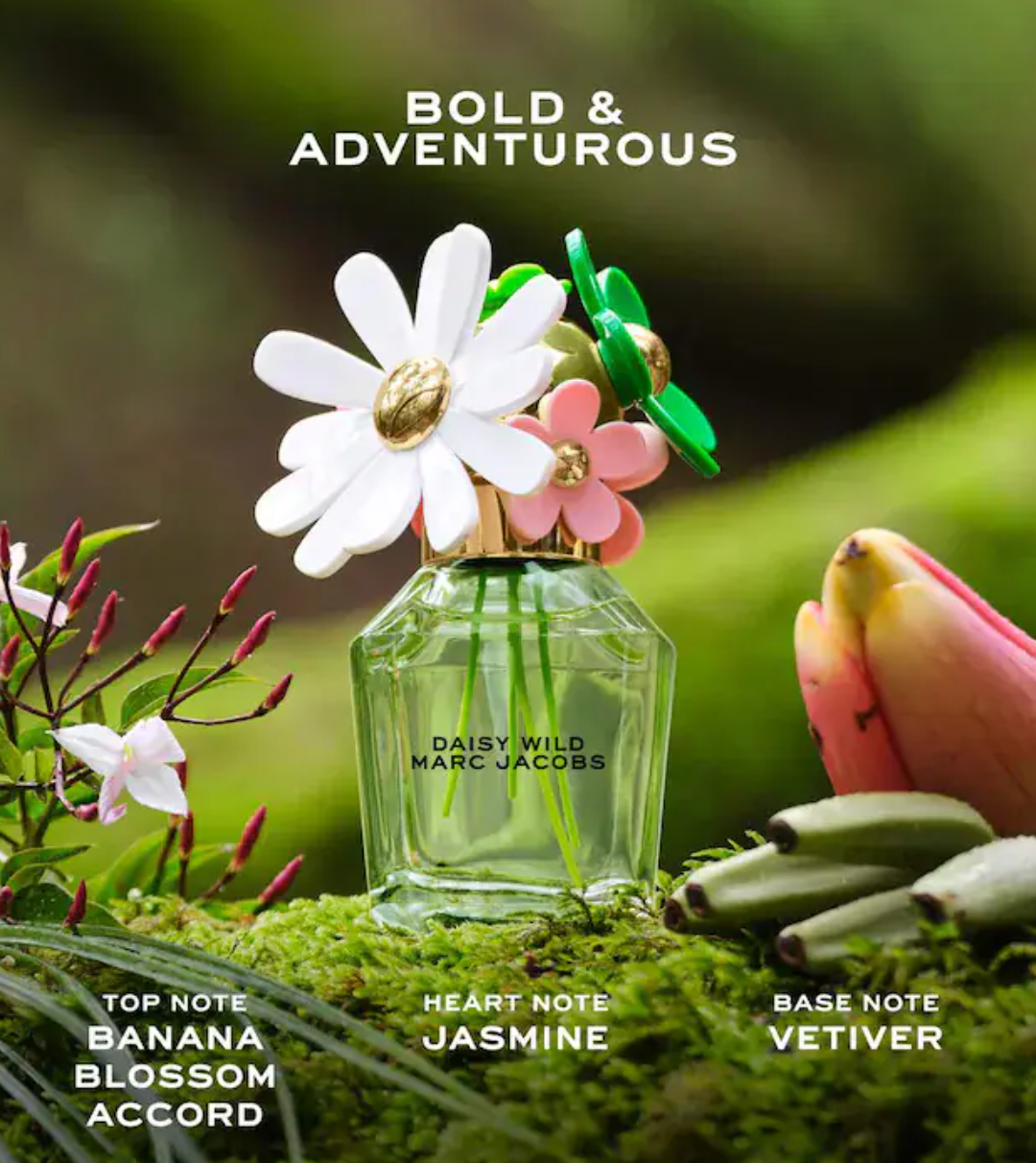 Kit de 7 Perfumes de Lujo – Descubre tu favorito